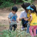 송제농원 이미지