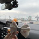 아가방플렉스유성NC 이미지