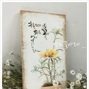 빛깔캘리그라피 이미지