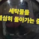 수입빈티지봄 이미지