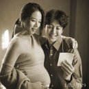 손형용 TV리포트