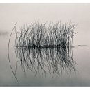 로만 - 진주시 | 로만