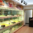 드림펫 동물병원 이미지