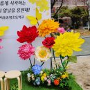 중평초등학교 이미지