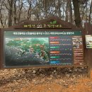 계양산 팔각정 | [등산] 천국의 계단 타고 온 계양산 등산 후기