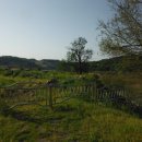 중면사무소 이미지