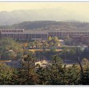 대륜농장 이미지