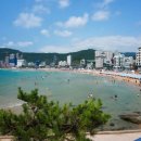 송정해수욕장 주차장 이미지