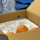 오아시스 유도클럽 이미지