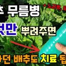 메디풀(Medipool) 이미지