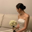 리플레르