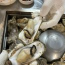 굴&매생이 전문 이미지