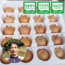 바른농장계란 | 동물복지 친환경 유정란, 별농장 바른계란 후기!