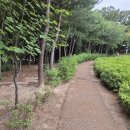 세명24시로또