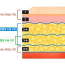 엔슬림의원 이미지