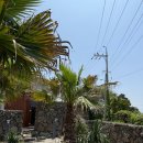 라데나 제주 이미지