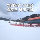 금자오락실 | 웰리힐리 파크 스키장 슬로프 리프트권 할인 장비렌탈 눈썰매 사우나 등 부대시설