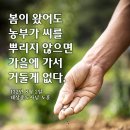 추무로
