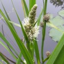 토산1리 이미지