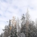 Alberta 이미지