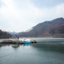 쑥부쟁이(용산저수지)둘레길 이미지