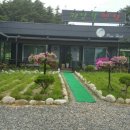 파인힐애견펜션 이미지