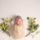 애니아트 | [부산 본아트 아기사진 스튜디오] 애니스튜디오 연산점 내돈내산 후기📸👶💛