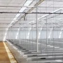 (주)서진팜 이미지