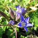 우산공원2 이미지