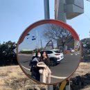 영원전기자전거