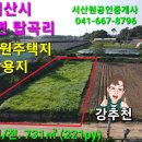 #서산부동산 서산시 음암면 탑곡리 221py 남향 전원주택지 농막토지 주택지 서산시부동산 서산토지 세컨하우스토지 토지매매 귀촌 서산농막 이미지