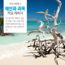 쿠바 Daum카페