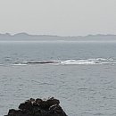 보금자리민박