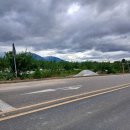 고령농장(2) 이미지