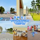 동해시-08 | 동해 숙소 추천 망상오토캠핑리조트&amp;해변한옥촌 동해망상오토캠핑장 예약 ft.더담전통주 막걸리 기념품