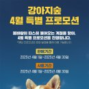강아지 숲 네이버블로그