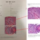 충남 동물병원 이미지