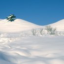 대관령목장 이미지