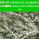 안심정 카페 | 🚩대구근교 골프장 영천cc 영천 오션힐스 영천 임고하이패스옆 라운드 라운딩 후기🚩