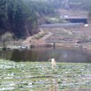 은행리낚시터 이미지