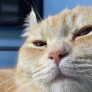 단지까까 이미지