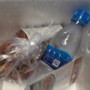 따뜻한 산들바람 | 얼갈이김치 추천 산들바람 남도식 얼갈이 배추김치 밥도둑 인정 후기