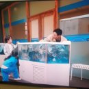 양평수족관
