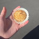 마산희망나눔봉사센터 | [봉사후기] 아름다운가게 2026 ‘아름다운 나눔보따리’ 따뜻한 배달 이야기 '삶의 현장에서 나누는...