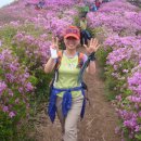 천남민박 이미지