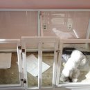 몽몽살롱 이미지