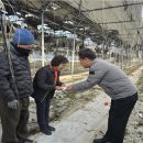 김화농협 이미지