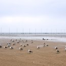 하나개해수욕장 이미지