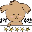 네일.연