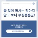 광진동물병원 네이버블로그